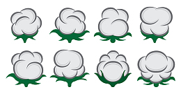棉花矢量素材