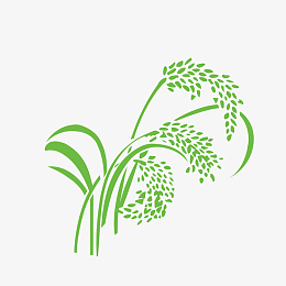 手绘农作物稻穗素材