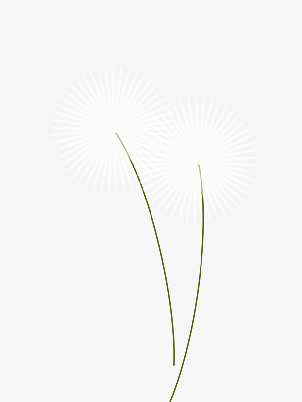 矢量卡通蒲公英素材