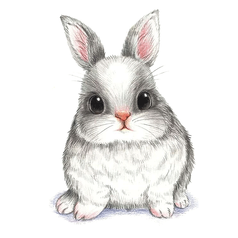 卡通手绘卡通兔子