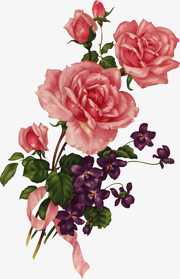 卡通粉色的玫瑰花