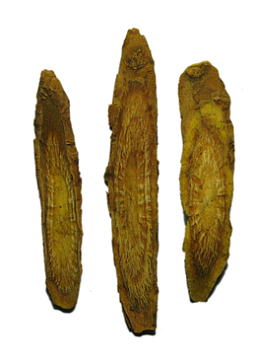 三大片黄岑根