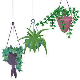 三个矢量植物吊兰
