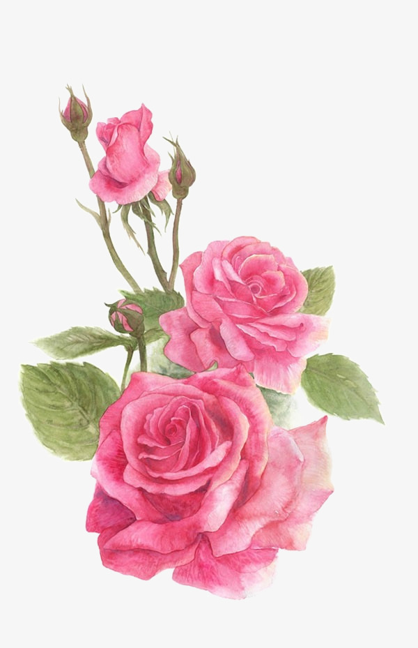 花朵素材免费下载_觅元素