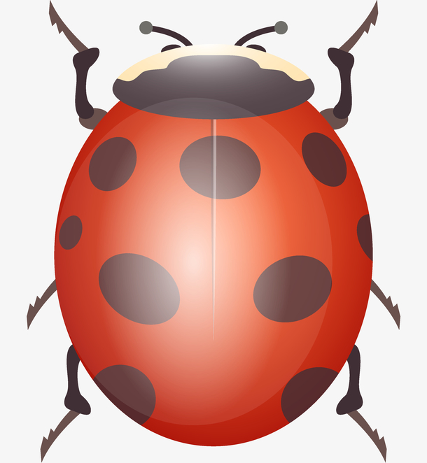 昆虫设计矢量素材