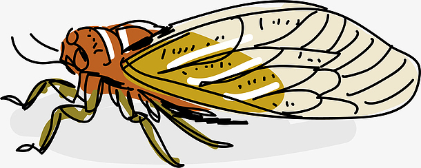 飞行矢量描边手绘昆虫蝉