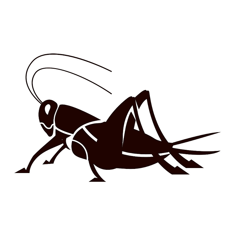 蟋蟀昆虫