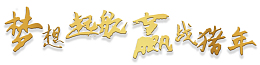 赢战猪年    猪年   猪年字体