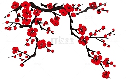 梅花优雅典雅的梅花