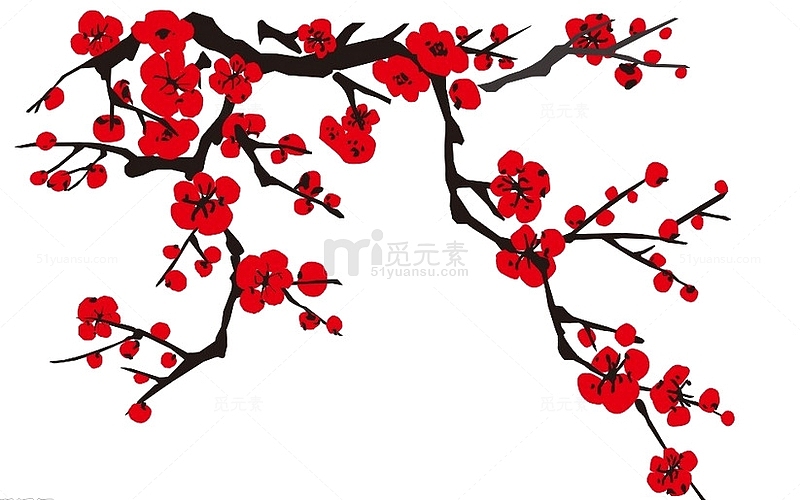 梅花优雅典雅的梅花