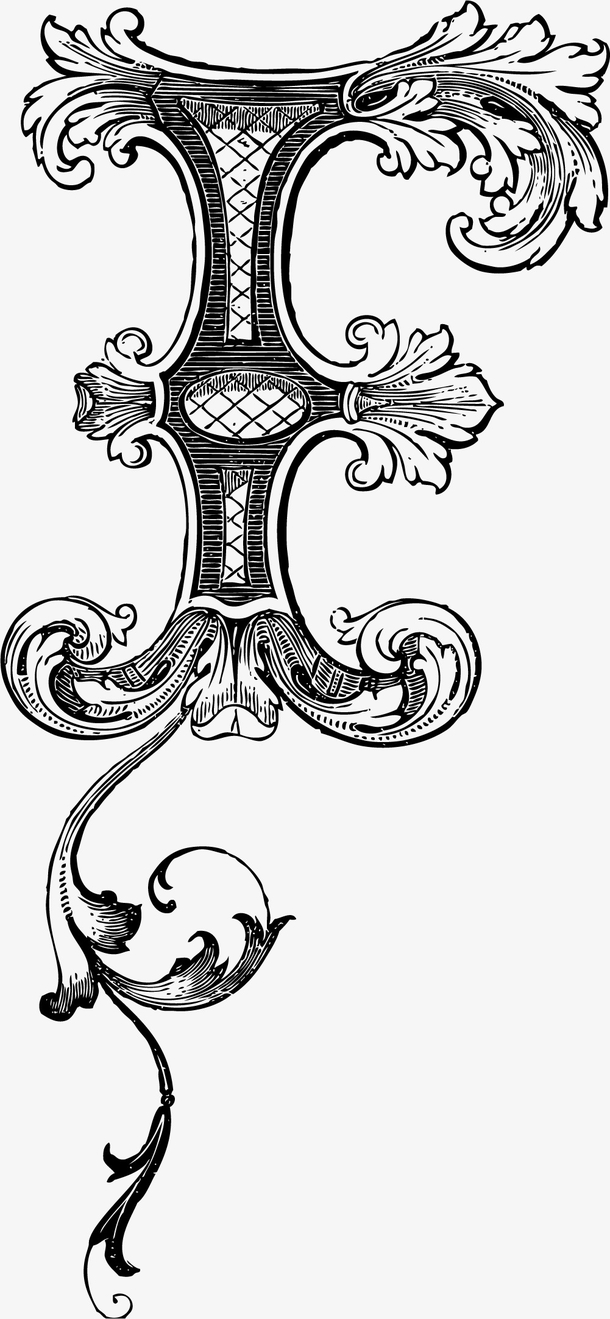 字母样式矢量手绘卷草纹