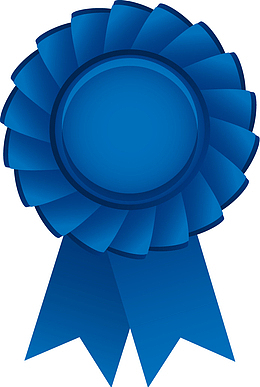 蓝色的花朵图案的金牌