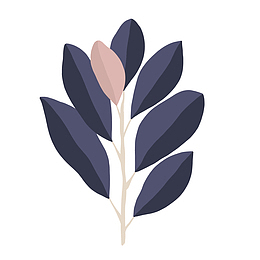 深蓝色植物唯美叶子