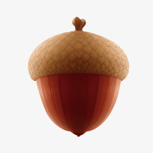 一颗卡通绘画橡树果