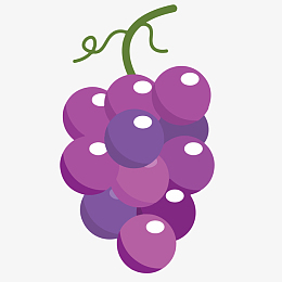 葡萄与提子矢量图