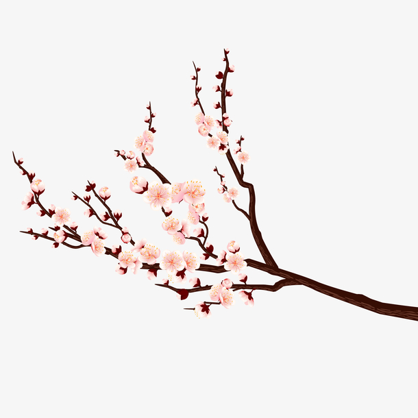 中国风梅花装饰图冬季矢量图