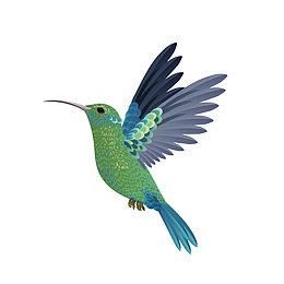 矢量飞行的飞鸟下载