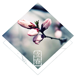 汉族民间桃花节立春海报