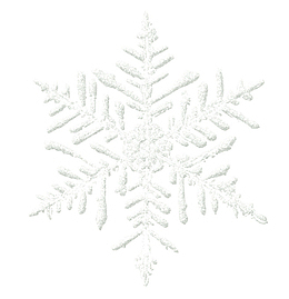 冬天白色雪花卡通