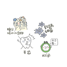 卡通牙齿小常识插画素材