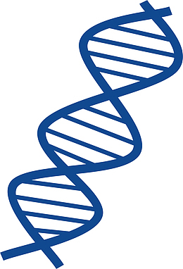 手绘DNA分子图png