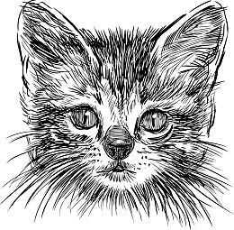 矢量手绘速写猫咪猫头像图形
