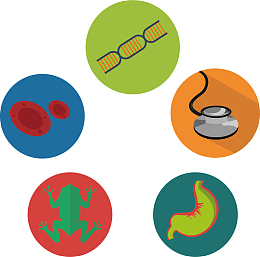 矢量图生物类图标