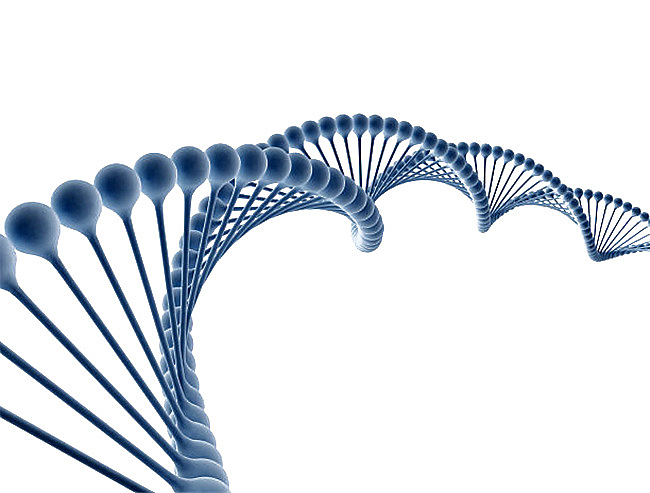 dna遗传物质基因藏青色肽链脱