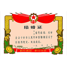 彩色结婚证奖章元素