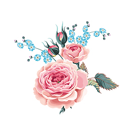 蓝色小花矢量手绘