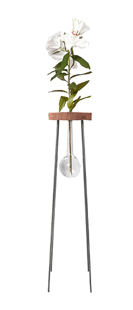 精致花朵植物装饰