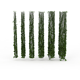 柱子鲜草绿色垂吊植物