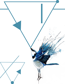 三角形几何小鸟边框装饰