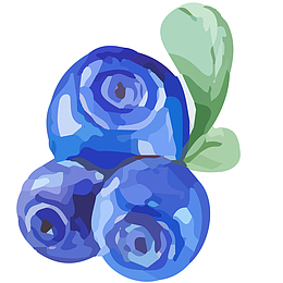 新鲜蓝莓矢量插画
