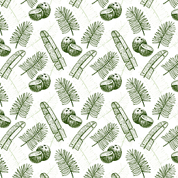 绿色松树叶子与果实