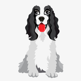 矢量黄色贵妇狗