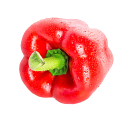 红色美味放倒带水珠的红灯笼椒实