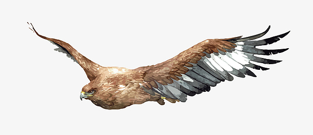 矢量老鹰epspng抽象美国动物元素图案png雄赳赳的老鹰png时尚休闲潮流