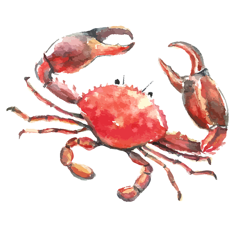 红色手绘螃蟹大闸蟹