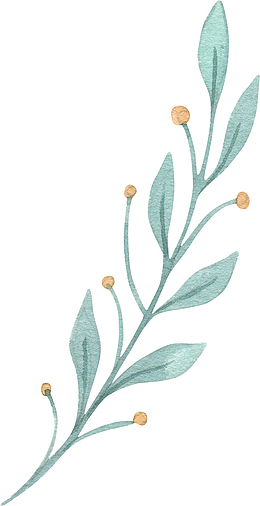 绿色手绘水彩植物png