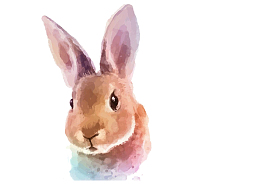 手绘兔子