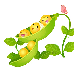 黄豆卡通手绘图