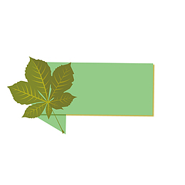 浅绿色标签绿色矢量扁平化精美枫