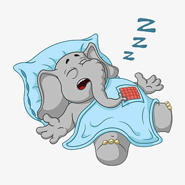 睡觉的小可爱大笨象