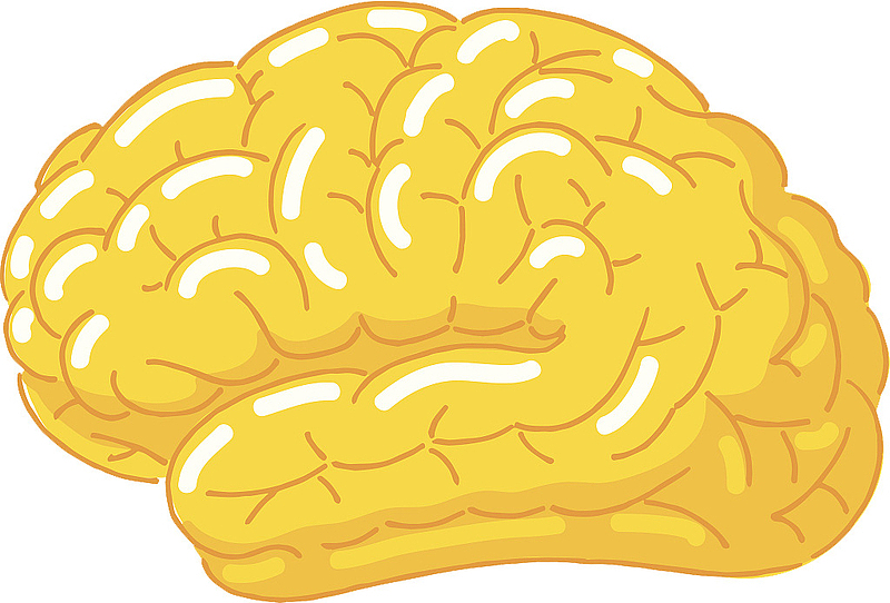 卡通金色大脑