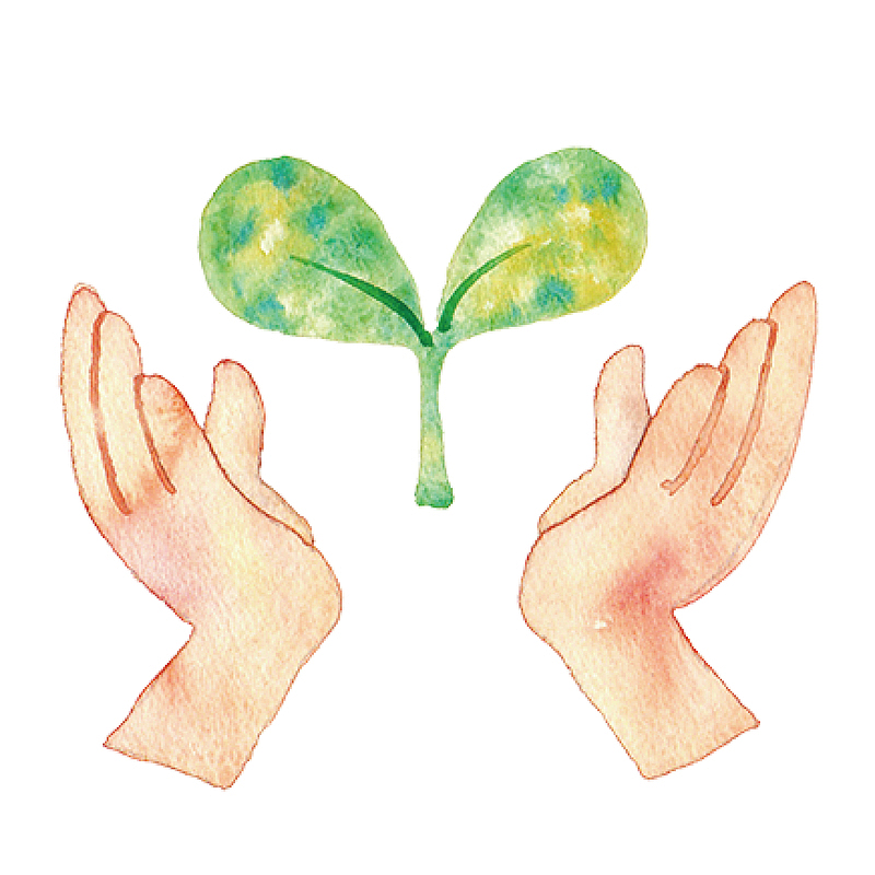 一双托起绿色生命的希望之手