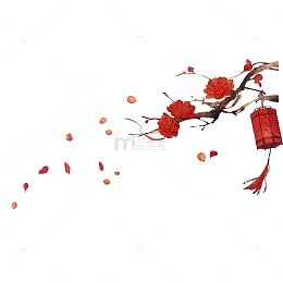 古风灯笼画梅花