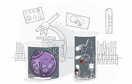 矢量卡通生物研究