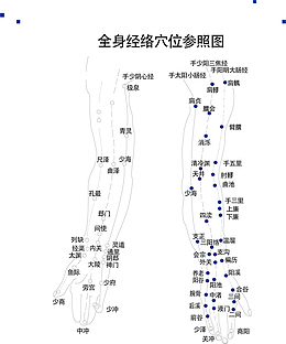 全身穴位设计素材