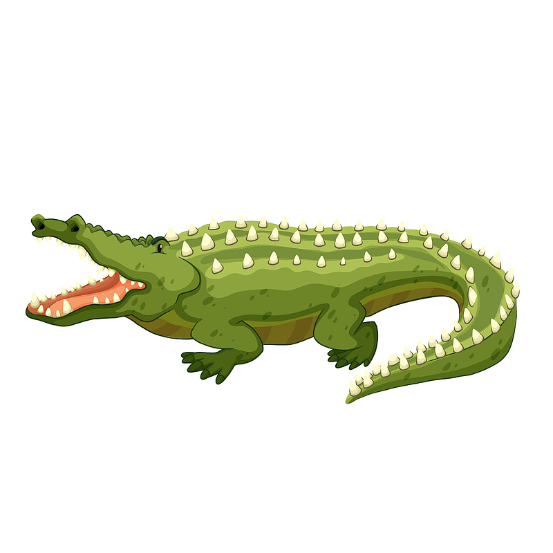 绿色长大嘴巴的鳄鱼